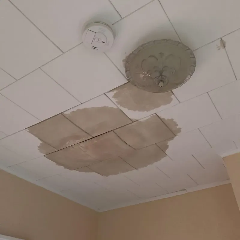 Ceiling Water Damage Repair in Meridian Station, MS