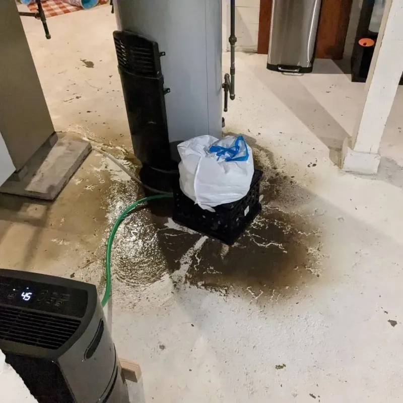 Sewage Backup Cleanup Service in Meridian Station, MS